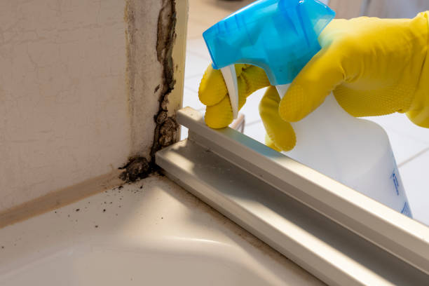 Best Water Damage Restoration  in West Van Lear, KY