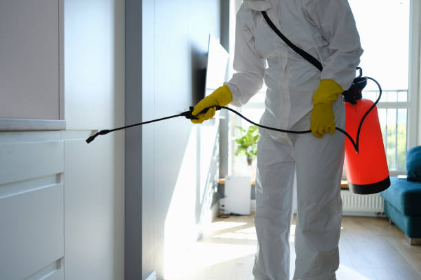 Best Home Mold Removal  in West Van Lear, KY