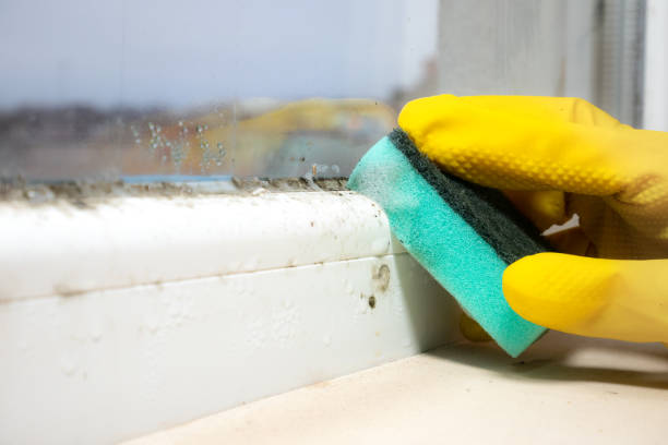 Best Mold Testing  in West Van Lear, KY